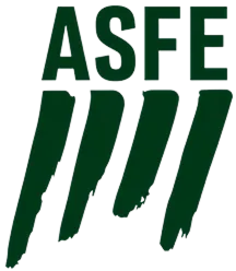 ASFE