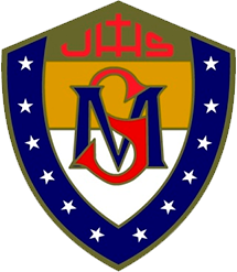 Mater Salvatoris Esports